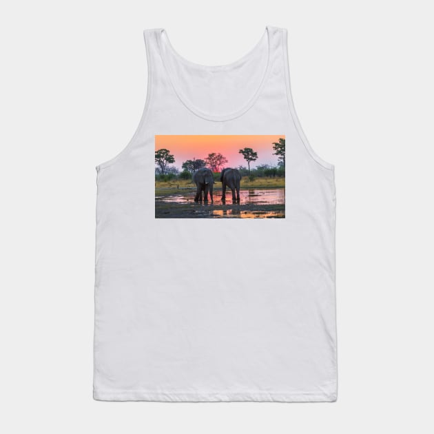 Elephants at sunset Tank Top by GrahamPrentice